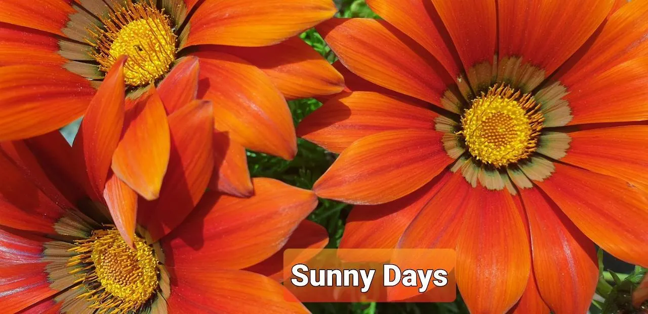 홈스테이 페다라 Sunny Days 아파트